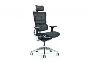 Ergonomiczny fotel biurowy ERGO 800-M czarny