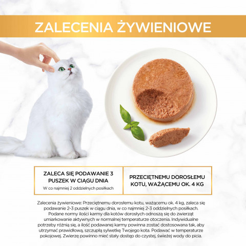 2023_08_10_Purina_eContent_Gourmet_Mus_zalecenia-zywieniowe.jpg