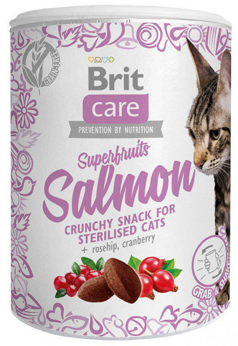 big_big-Brit-Care-Cat-Snack-Superfruits-Salmon.jpg