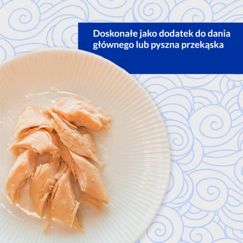 INABA Grilled Chicken Filet z kurczaka w bulionie o smaku kurczaka - przysmak dla kota - 25g - Galeria zdjęcie 2
