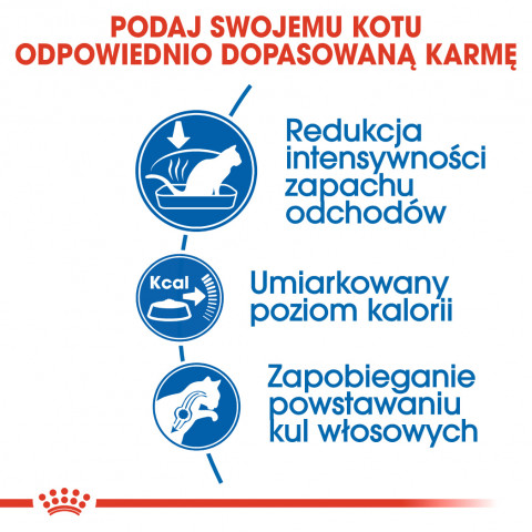 ROYAL CANIN FHN Indoor 27 - sucha karma dla kota dorosłego - 2 kg - Galeria zdjęcie 10