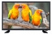 Telewizor Lin 24LHDD06 LED 24'' HD Ready DVB-T2 Czarny - Galeria zdjęcie 1